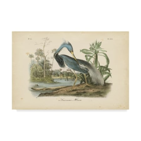 John James Audubon 'Audubons Louisiana Heron' Canvas Art,12x19